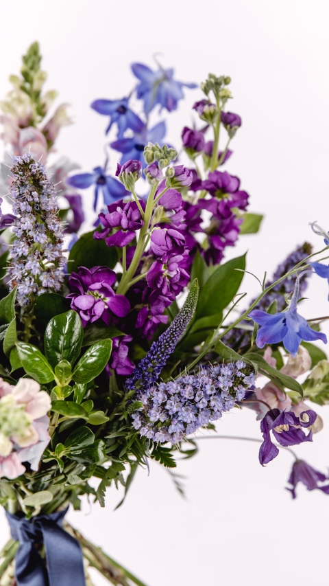 Mother's Day Florist Choice   Mixed Pastels