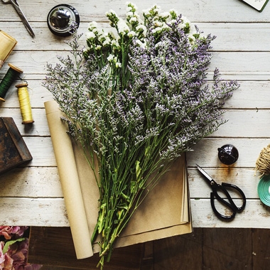 Spring Workshops