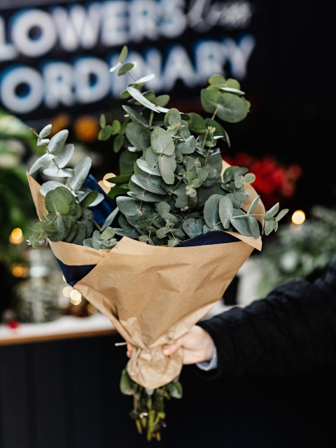 Eucalyptus Wrap