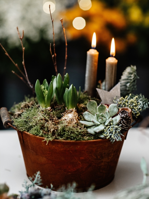 Hyacinth and Candle Tin