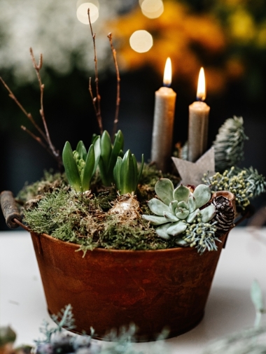 Hyacinth and Candle Tin