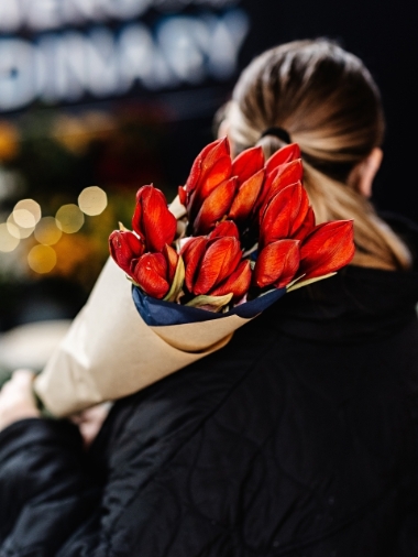 Red Amaryllis Stems